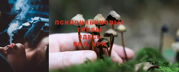 первитин Козельск