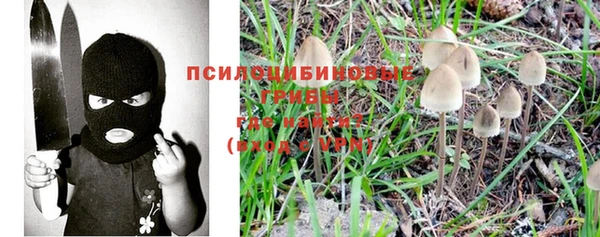 бутират Козловка