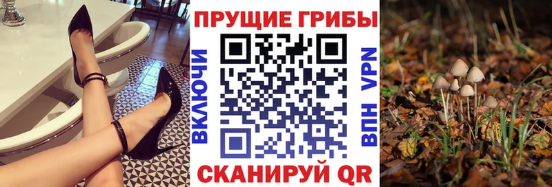 Псилоцибиновые грибы Magic Shrooms  Самара 
