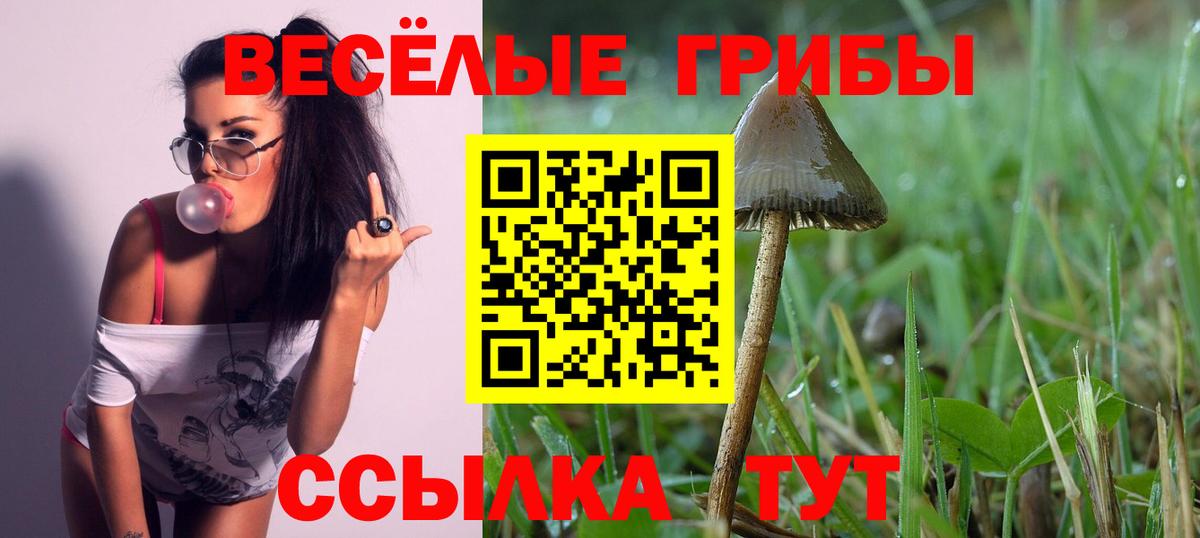 Галлюциногенные грибы прущие грибы  Вход с VPN  Самара 